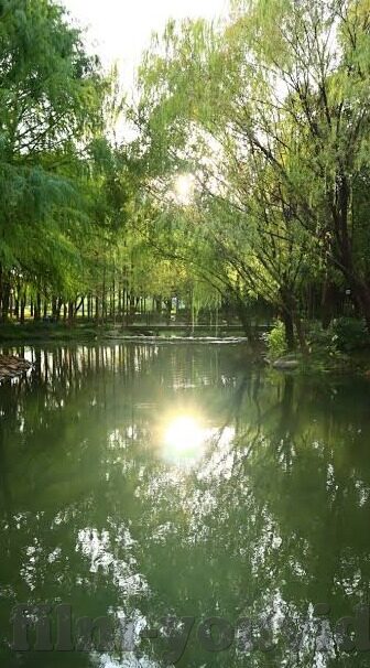大象传媒9x视频-大象传媒9x视频，重塑娱乐边界的数字浪潮
